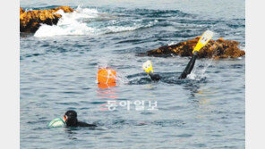 [부산/경남]물질? 제주해녀 못잖지…