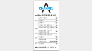 [광주/전남][전북][제주]채널A 지역별 케이블 채널