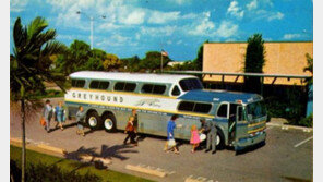 대형 버스를 통째로 훔친 39세 男, 도대체 왜? 