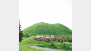 [신춘문예 2012]시조 ‘눈뜨는 화석’