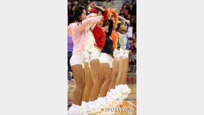 [포토] 형형색색 완벽한 S라인 유혹!