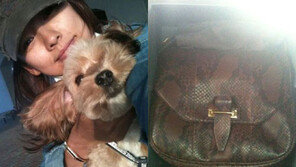 이효리, 고가 악어백 선물받고 첫 반응…