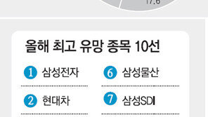 [부자됩시다]‘암중모색’의 해… 주식형 펀드 선방할 듯