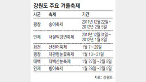 강원 겨울축제 열기에 동장군도 ‘야호’