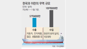정부, 이란제재법 적용 유예를… “이란 원유 끊기면 운송-항공 직격탄”