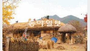 [대전/충남]유관순 유적 이엉잇기 마을주민 손으로