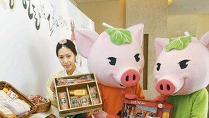 국산 돼지고기햄 세트 판매