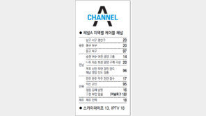[광주/전남][전북][제주]채널A 지역별 케이블 채널