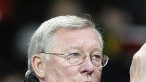 퍼거슨 “박지성한테 뭐라고 하지마!” 버럭