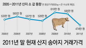 한우 인기에 소사육 9년새 2배로… “공급과잉 4, 5년 갈듯”