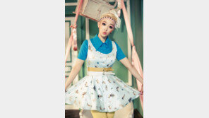 살찐고양이, 뮤비 50만 클릭 화제…익스트림 얼굴 클로즈업 때문?