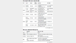 [한국형 신도시 세계로 뻗는다]<下> 업계 “정부차원 시스템 마련을” 한 목소리