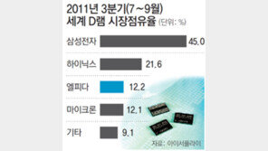 D램 지각변동?… 세계 3위 日엘피다 흔들