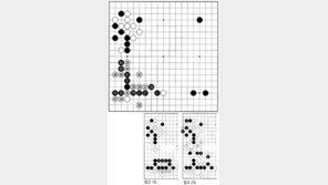 [바둑]제55회 국수전… 백 40은 정수