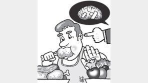 고지방 비만 뇌손상 유발