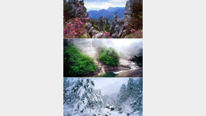 [오늘의 채널A] 철따라 고운 옷 갈아입는 ‘금강의 속살’ 보여드립니다