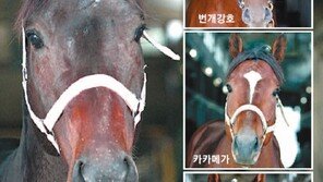 신흥강자 팔기군 “나를 따르라”