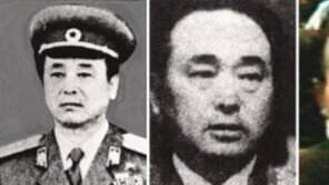 “정은밖에 대안 없는 것 안다 그러나 장성택이 뭐란 말이냐, 이렇게 사라질 순 없다”