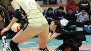 [포토] 배트맨 남지연 날다