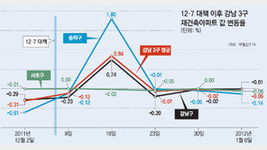 ‘12·7 대책’ 한달 후… 강남 재건축 시장 둘러보니