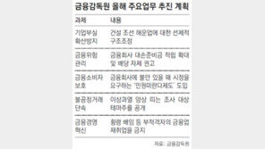 금융감독원 “은행, 고배당 자제… 대손준비금 더 쌓아라”