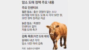 암소 40만마리 줄인다