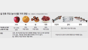 ‘물가 책임제’에도 과일값 들썩