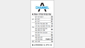 [광주/전남][전북][제주]채널A 지역별 케이블 채널 
