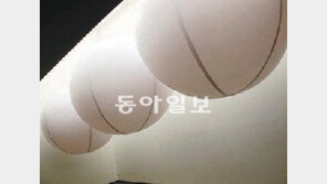 세제-쥐덫… 일상으로 정치 혼내다