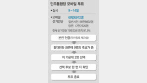 민주 모바일투표 수백건 오류… ‘엄지 혁명’ 삐끗