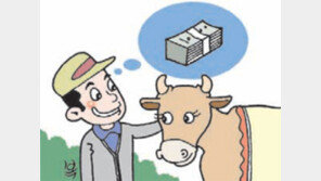 “넘쳐나는 송아지, 먹어서 줄이자”