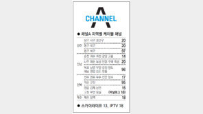 [광주/전남][전북][제주]채널A 지역별 케이블 채널