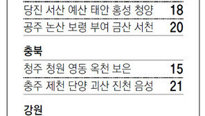 [강원][대전/충남][충북]채널A 지역별 케이블 채널