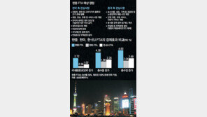 [한중 FTA 협상 개시 합의]‘고수익’ vs ‘고위험’