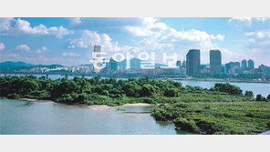 ‘철새의 천국’ 한강 밤섬 람사르 습지 지정 추진