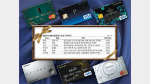 [Money&Life]“아, 갖고싶다” 욕망을 자극하는 아주 특별한 카드들