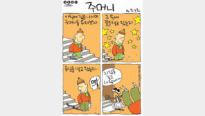 [386c]<2986>주머니