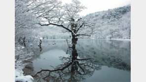 [Leisure]내 맘속에 녹슨 겨울 포멧하고 싶다면 이곳으로 떠나요