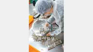 멸치 눈-비늘까지 돋보기 검사… “정성을 팔아라”