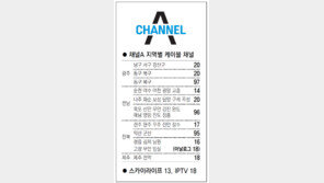 [광주/전남][전북][제주]채널A 지역별 케이블 채널