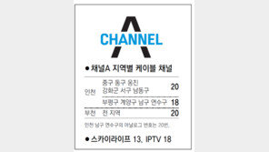 [인천/경기]채널A 지역별 케이블 채널