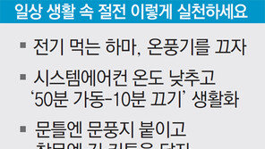 플러그 뽑고… 커튼 치고… 집에서 새는 전기를 잡자