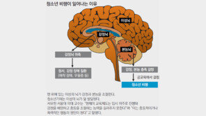 덩치만 훌쩍 컸지, 청소년 뇌 속은 한창 공사중