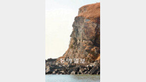 아무리 사람 얼굴 닮았어도 ‘진짜-가짜’ 우리 뇌는 안다