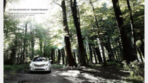 정의선 “올해 국내시장 수입차와 대결 치열할 것”