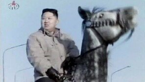 ‘北김정은 운전신동!’ 8살에 120km/h 질주? 