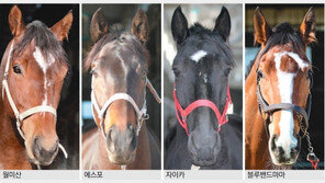 월미산 vs 에스포, 뒷심 대결