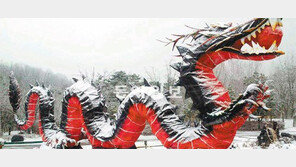 [비전2012]위기의 구름 뚫고 흑룡의 해, 높이 날자