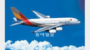 [비전2012]최첨단… 친환경… ‘하늘을 나는 특급호텔’