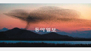 [광주/전남]사진 450장에 담은 땅끝마을 자연자원 251종